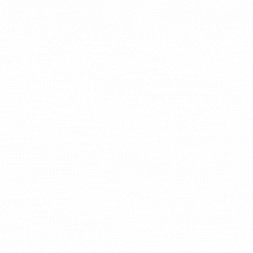 capital crane logo